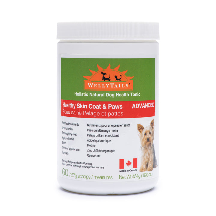 WellyTails Healthy Skin Coat &amp; Paws Dog AVANZADO (fórmula Rx original actualizada)