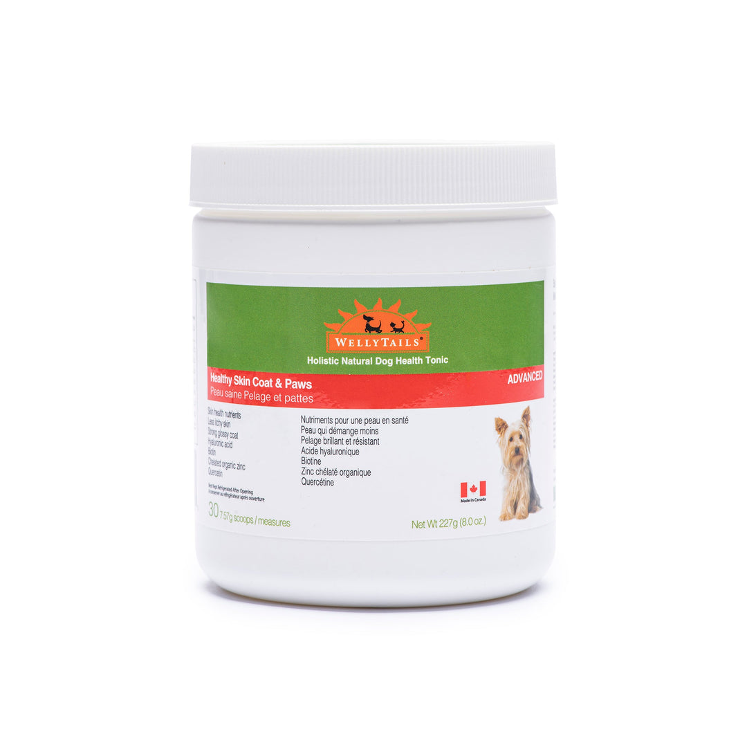 WellyTails Healthy Skin Coat &amp; Paws Dog AVANZADO (fórmula Rx original actualizada)