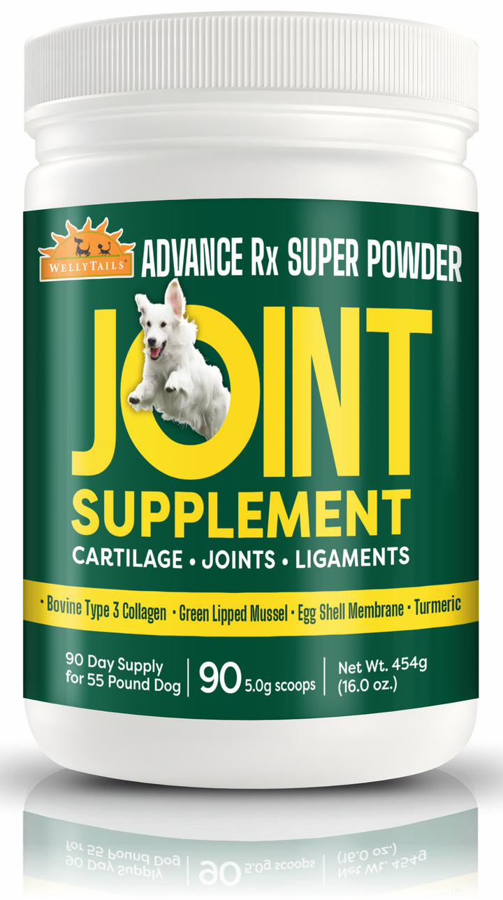 Cartilage Joint & Ligaments ADVANCED Rx  90 scoops  454g (16 oz.)